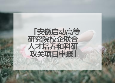 安徽启动高等研究院校企联合人才培养和科研攻关项目申报